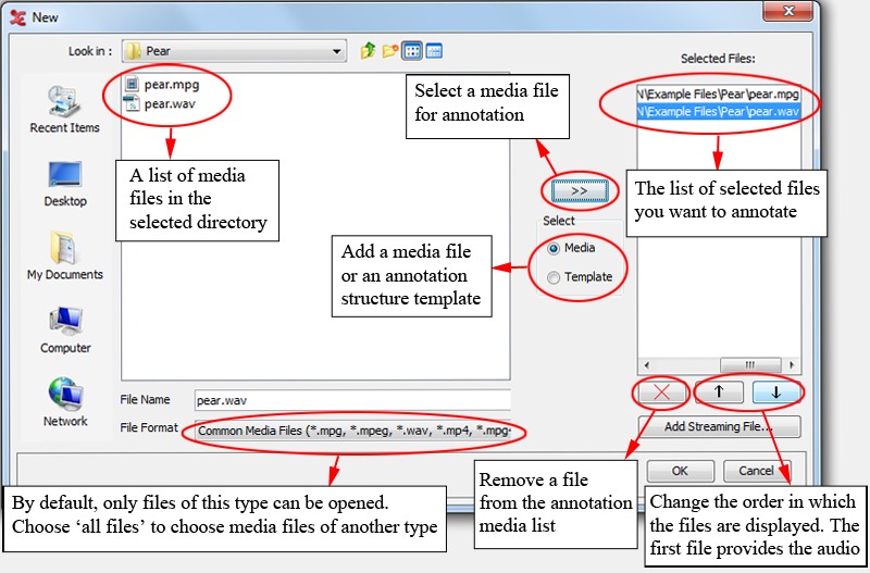 The New Transcription dialog window: media