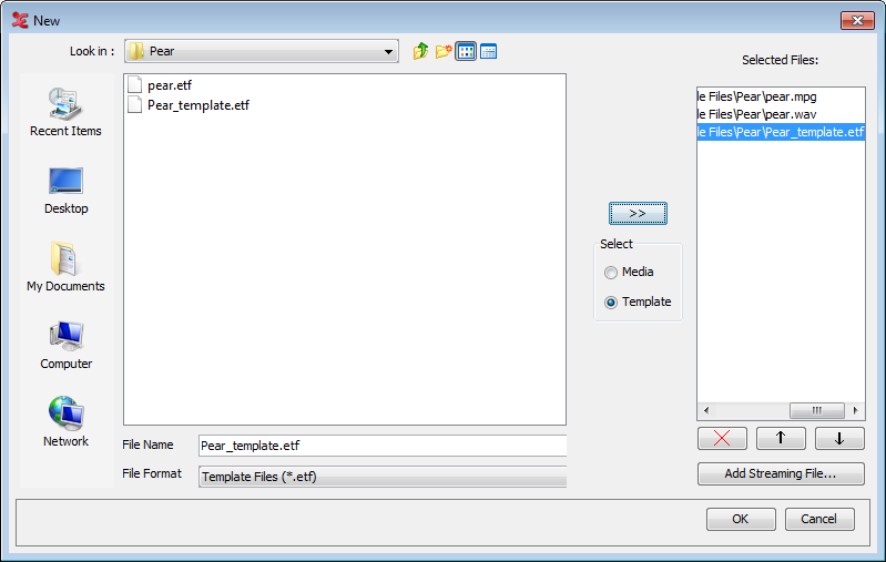 The New Transcription dialog window: templates