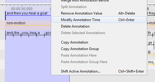 Modify annotation time